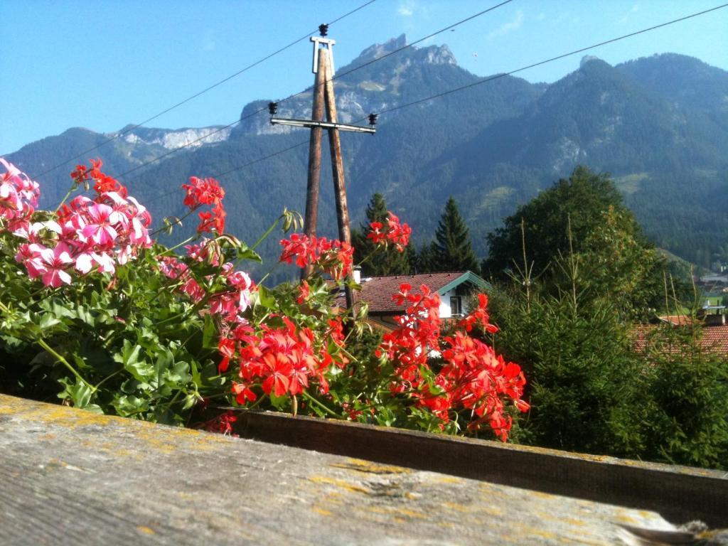 Pension Larchenhof Maurach  Bilik gambar