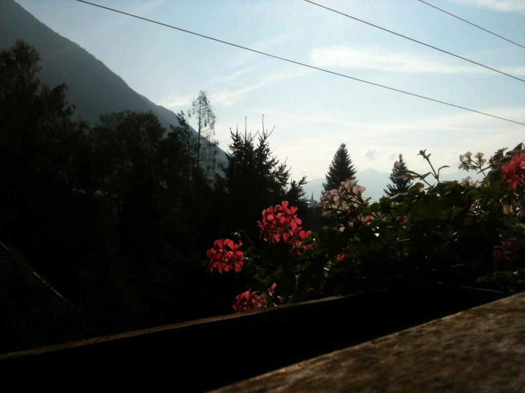 Pension Larchenhof Maurach  Luaran gambar